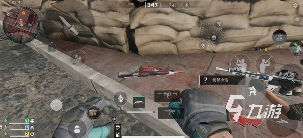 霍勒迪等核 霍勒迪等核